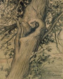 Old linden tree, 1903. Creator: Albert Edelfelt