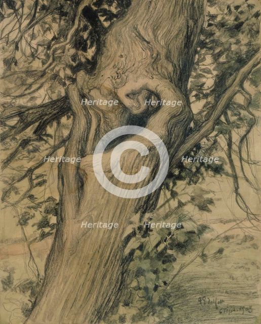 Old linden tree, 1903. Creator: Albert Edelfelt.