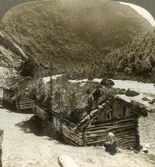 Old log houses in Bratslandsdal, with trees growing on sod-covered roofs, Norway c1905. Creator: Unknown