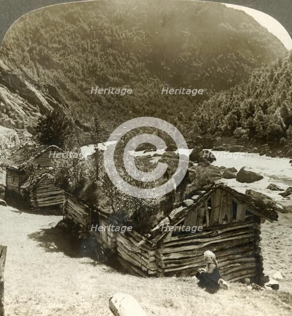 'Old log houses in Bratslandsdal, with trees growing on sod-covered roofs, Norway', c1905.  Creator: Unknown.