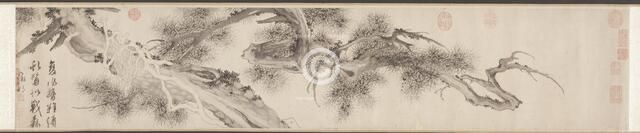 Old Pine Tree, late 1530s. Creator: Wen Zhengming (Chinese, 1470-1559).