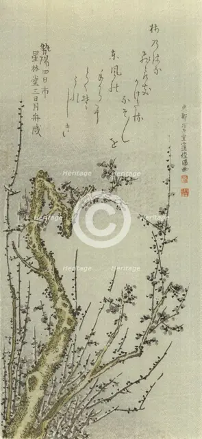 Old Plum Tree, 1796. Creator: Kubo Shunman.