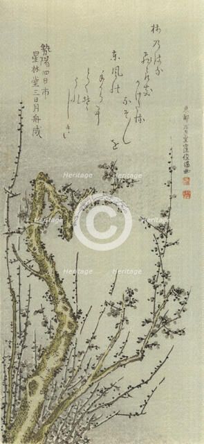 Old Plum Tree, 1796. Creator: Kubo Shunman.