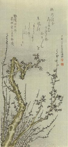 Old Plum Tree, 1796. Creator: Kubo Shunman