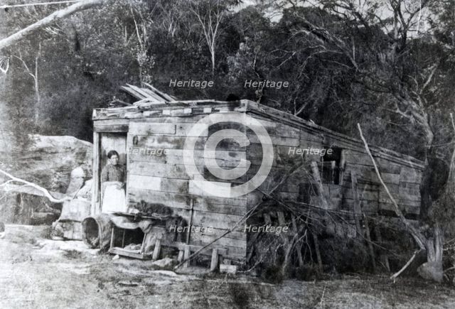 Old shack at Balmoral, Mosman, c1910s. Creator: Unknown.