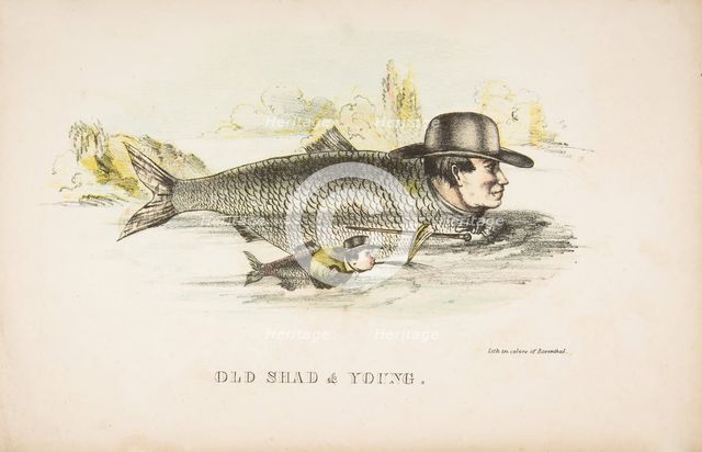 Old Shad & Young, from The Comic Natural History of the Human Race, 1851. Creators: Henry Louis Stephens, L. Rosenthal.