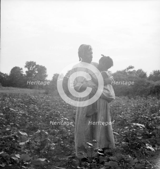 Old time Mississippi Negro living on a cotton patch near Vicksburg, Mississippi, 1936. Creator: Dorothea Lange.
