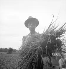 Old time Negro living on cotton patch near Vicksburg, Mississippi, 1936. Creator: Dorothea Lange