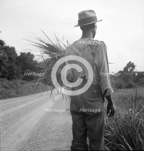 Old time Negro living on cotton patch near Vicksburg, Mississippi, 1936. Creator: Dorothea Lange.