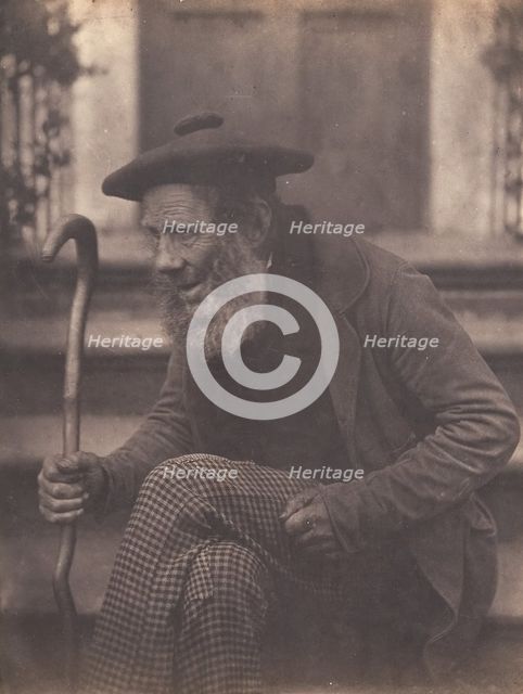 Old Tom, ca. 1856-59. Creator: Horatio Ross.