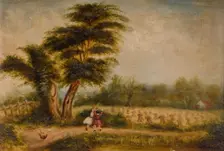 Old Tree at Alum Rock, 1840-1860. Alum Rock, Birmingham. Creator: Unknown