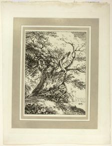 Old Tree, from the first issue of Specimens of Polyautography, 1801, published 1803. Creator: Thomas Hearne
