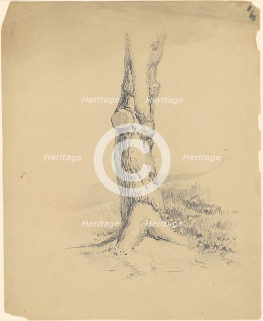 Old Tree Trunk, c. 1839. Creator: James Goodwyn Clonney.