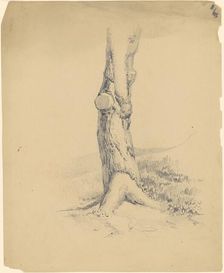 Old Tree Trunk, c. 1839. Creator: James Goodwyn Clonney