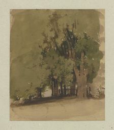 Old trees at a fence, 1855. Creator: Carl Theodor Reiffenstein