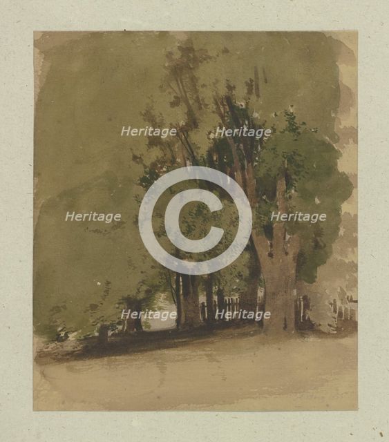 Old trees at a fence, 1855. Creator: Carl Theodor Reiffenstein.