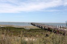 Olhao Bird Reserve, Olhao, Portugal, 2009. Creator: Samuel Magal