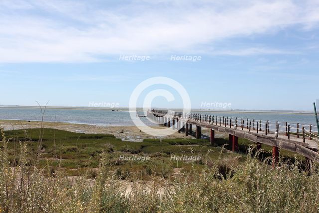 Olhao Bird Reserve, Olhao, Portugal, 2009. Creator: Samuel Magal.