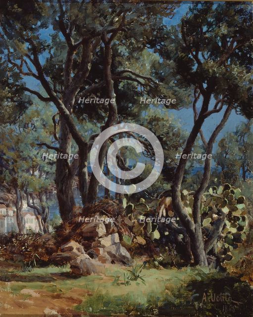 Olive grove, 1885. Creator: Aukusti Uotila.