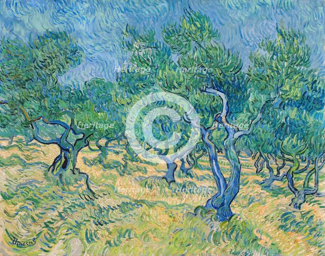 Olive grove, 1889. Creator: Gogh, Vincent, van (1853-1890).