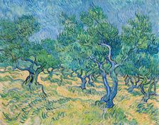 Olive grove, 1889. Creator: Gogh, Vincent, van (1853-1890)