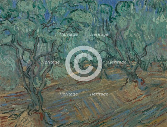 Olive grove, 1889. Creator: Gogh, Vincent, van (1853-1890).