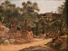 Olive Grove from Tivoli near Rome, 1839. Creator: Jorgen Pedersen Roed