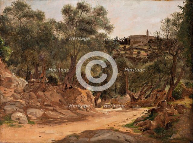 Olive Grove from Tivoli near Rome, 1839. Creator: Jorgen Pedersen Roed.
