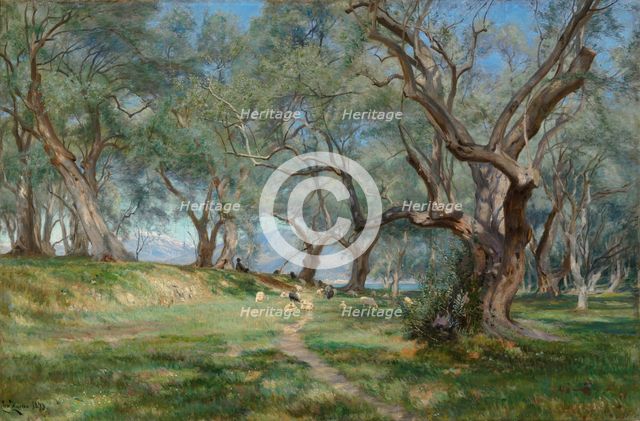 Olive grove in Mentona, 1893. Creator: Christian Zacho.