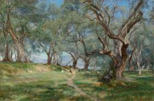 Olive grove in Mentona, 1893. Creator: Christian Zacho