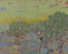 Olive grove with two olive pickers, 1889