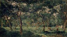 Olive Orchard early 1870s. Artist: Charles François Daubigny