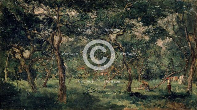 'Olive Orchard', early 1870s. Artist: Charles François Daubigny