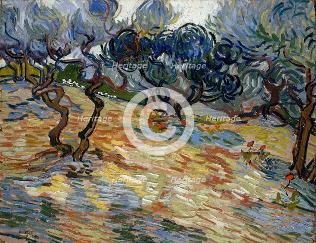 Olive Trees, 1889. Creator: Gogh, Vincent, van (1853-1890).