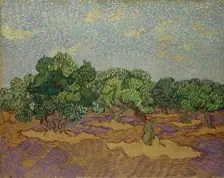 Olive Trees, 1889. Creator: Vincent van Gogh