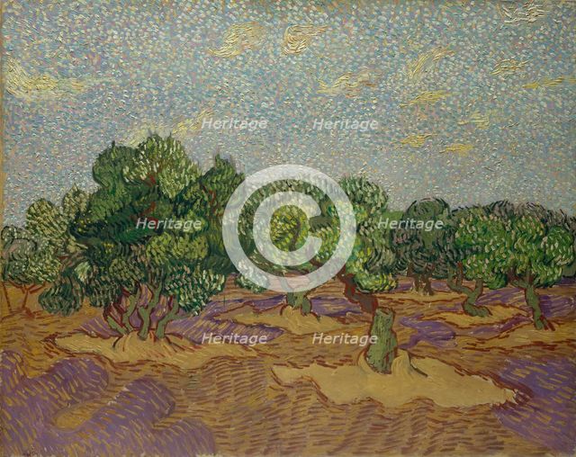 Olive Trees, 1889. Creator: Vincent van Gogh.