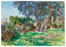 Olive Trees, Corfu, 1909. Creator: John Singer Sargent