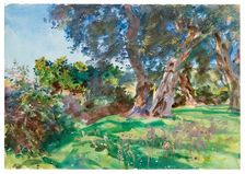 Olive Trees, Corfu, 1909. Creator: John Singer Sargent