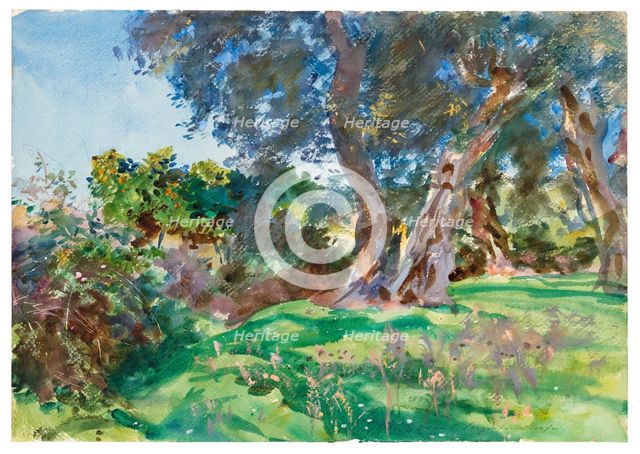 Olive Trees, Corfu, 1909. Creator: John Singer Sargent.