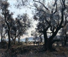 Olive Trees around Cap Martin 1891. Artist: Emmanuel Lansyer