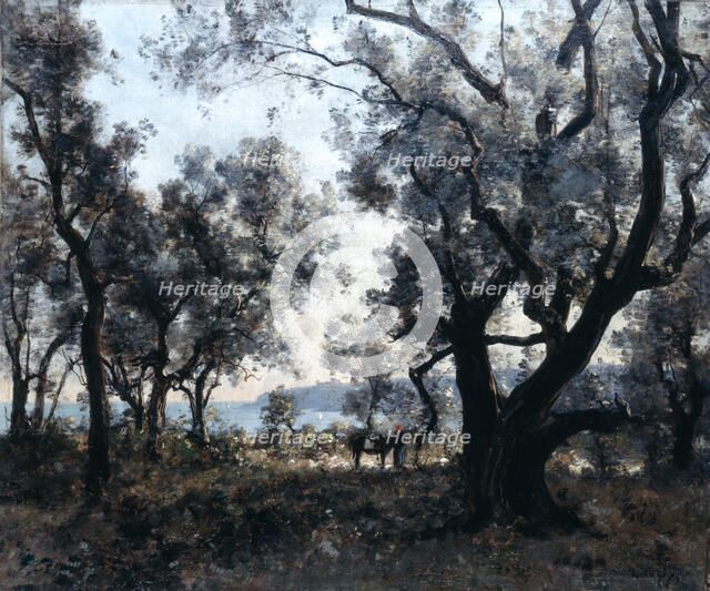'Olive Trees around Cap Martin', 1891.  Artist: Emmanuel Lansyer