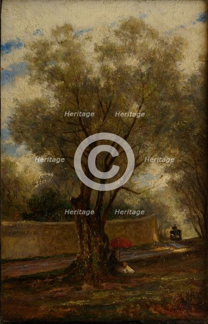 Olive Trees at Menton, 1881.
