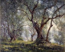 Olive trees in Menton, 18–07–1918. Creator: Henry Brokman