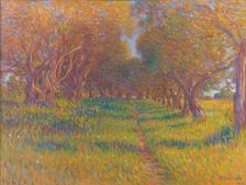 Olive trees in Provence, 1902. Creator: Rheiner, Louis (1863-1924)