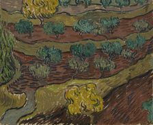Olive Trees on a Hillside , 1889. Creator: Gogh, Vincent, van (1853-1890)