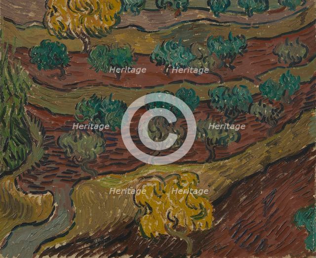 Olive Trees on a Hillside , 1889. Creator: Gogh, Vincent, van (1853-1890).