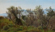 Olive Trees near Olevano, 1869. Creator: Peter Christian Thamsen Skovgaard