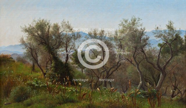 Olive Trees near Olevano, 1869. Creator: Peter Christian Thamsen Skovgaard.