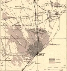 'Olivettes de Sfax; Afrique du nord 1914. Creator: Unknown