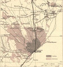 'Olivettes de Sfax; Afrique du nord 1914. Creator: Unknown